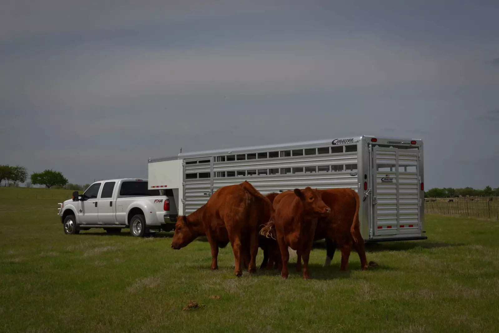 Cimarron Stock Trailer